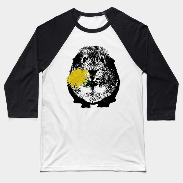 Guinea Pig Baseball T-Shirt by Fellball